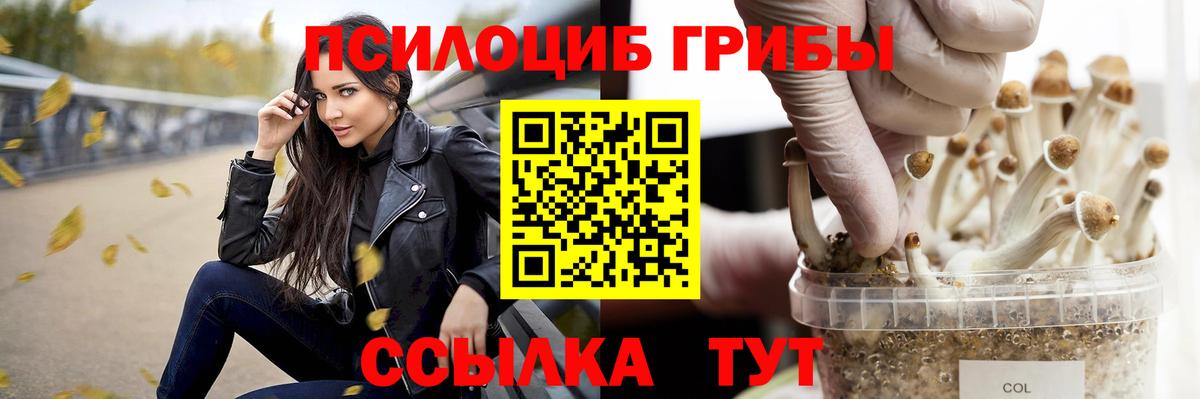 Псилоцибиновые грибы Magic Shrooms Муром